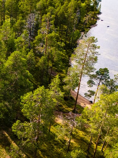 camper-van-nestled-in-finnish-lapland-forest-2026